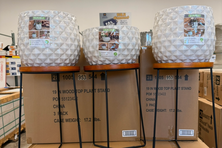 🌟 WEEK 4 DEAL: Entertaining Essentials — Free $25 Flower Pot With $50+ Purchase (Nov 23–30)